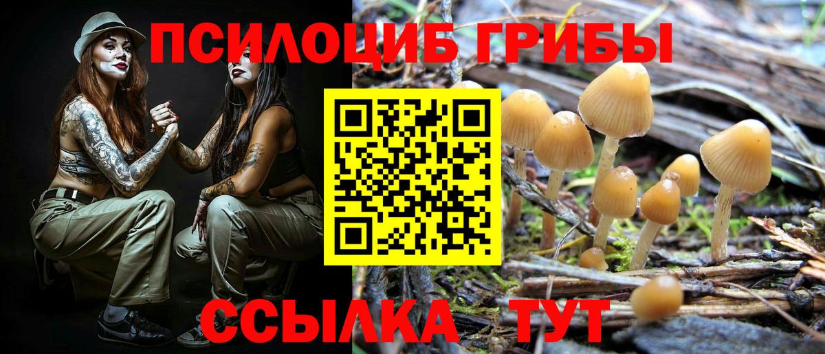 Псилоцибиновые грибы Cubensis  сколько стоит  Краснокаменск  Вход с VPN 